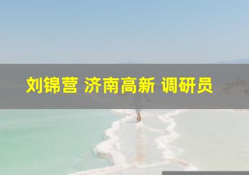 刘锦营 济南高新 调研员